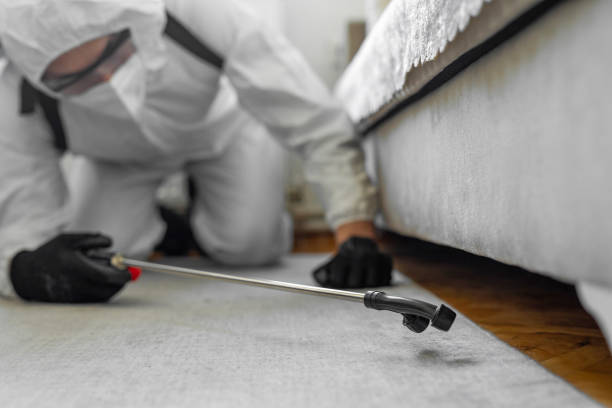 Professional Termite Control technician working in Westhampton, NY